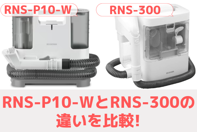 RNS-P10-WとRNS-300の違いを比較